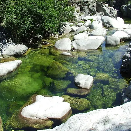 Camping Camping Alivetu Corte (Corsica)