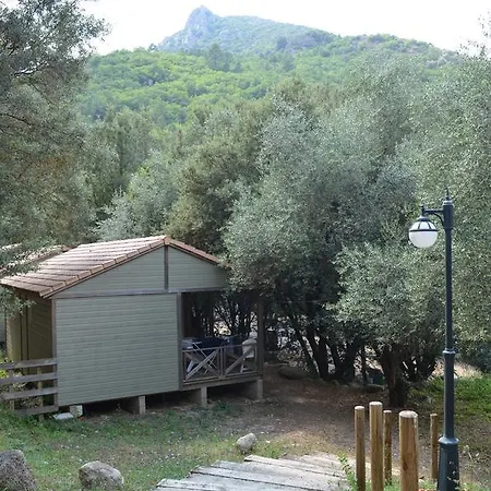 Camping Alivetu Corte (Corsica)