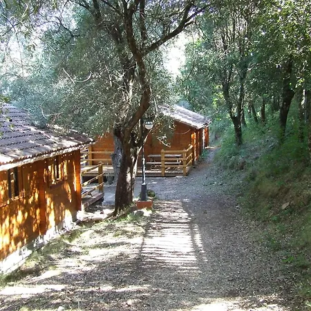 Camping Alivetu Camping Corte (Corsica)