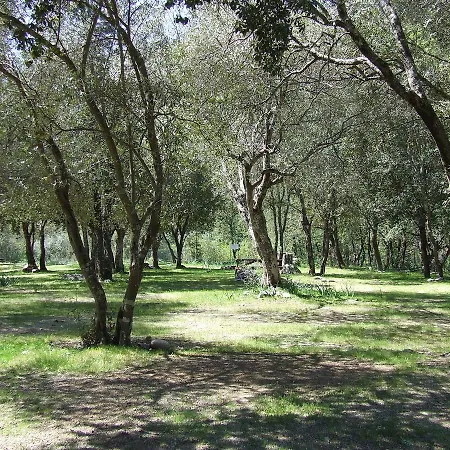 Camping Camping Alivetu